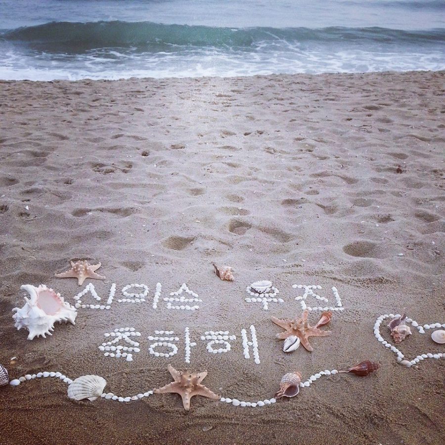 Your amazing text with shells on the beach