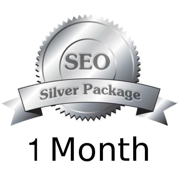 High Quality SEO Monthly Campaign Package- Silver 