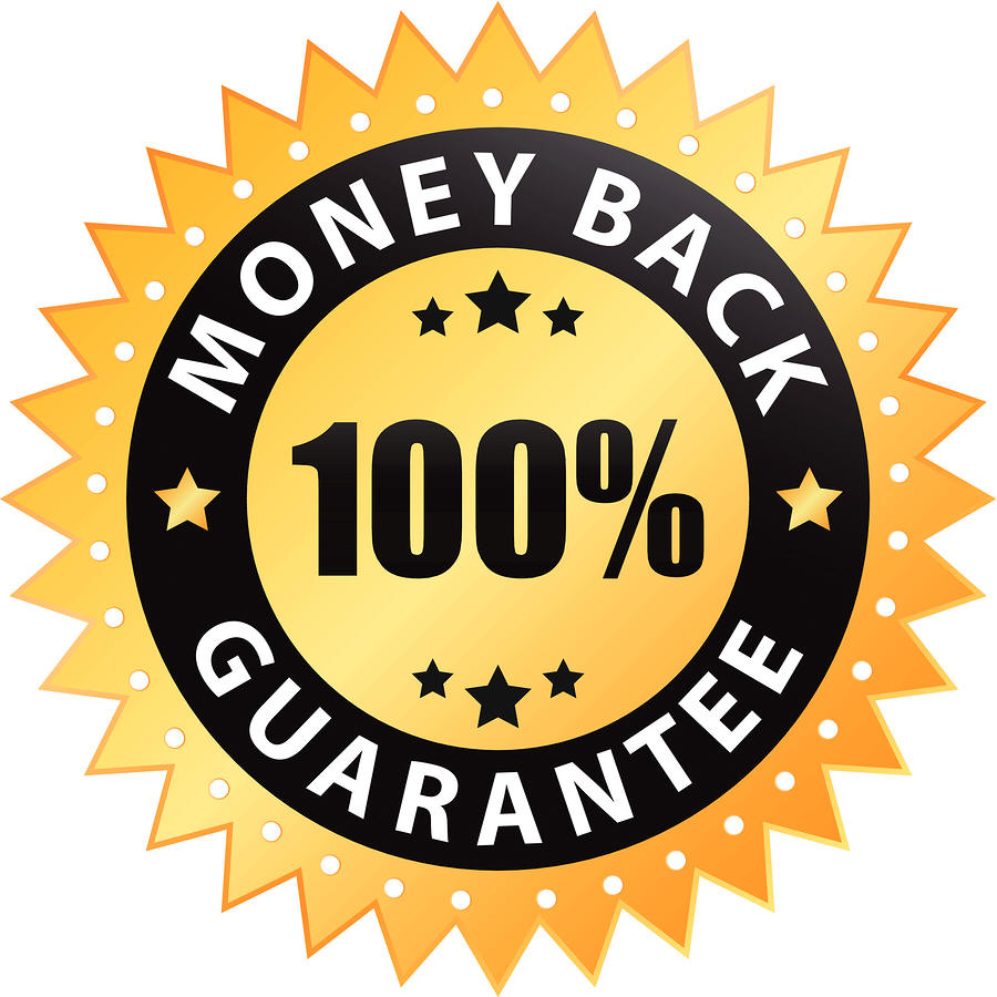 I will create a Professional SEO Report for your website
