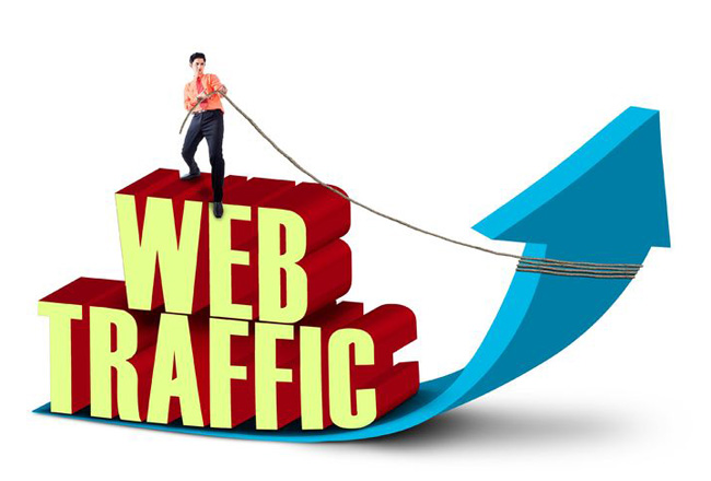 I will drive 25000 worldwide web traffic