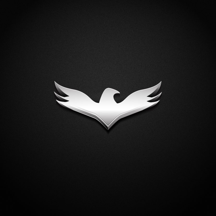 Create a professional modern logo