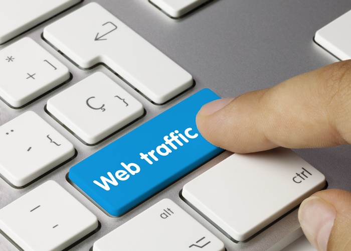 Daily 30000+ real organic human traffic