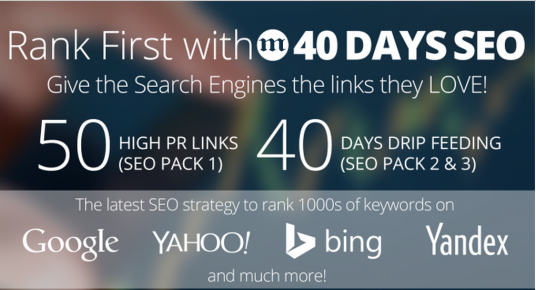 I will rank you First, 50 PR10 Niche Related Backlinks, 40days SEO