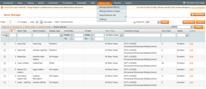 I will build a Magento store or do maintenance