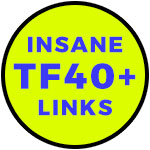 ★INSTANT BOOST in SERPs: TF 40+ HOMEPAGE LINKS