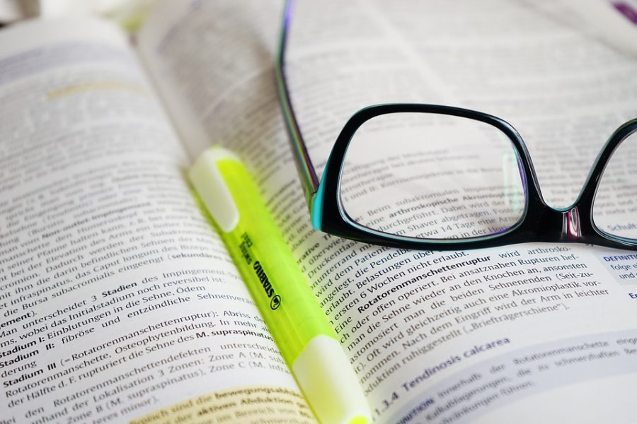 500+ Words of Original, Unique, Highest Quality Content
