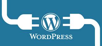 I will install a wordpress theme and setup like demo in 1 hours 