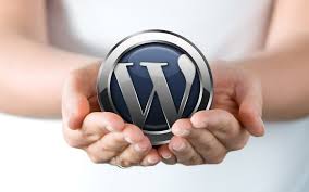 I will install a wordpress theme and setup like demo in 1 hours 