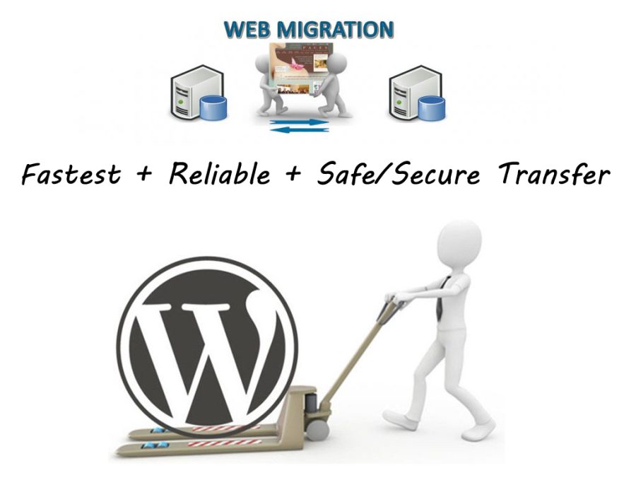 I will migrate Wordpress Website
