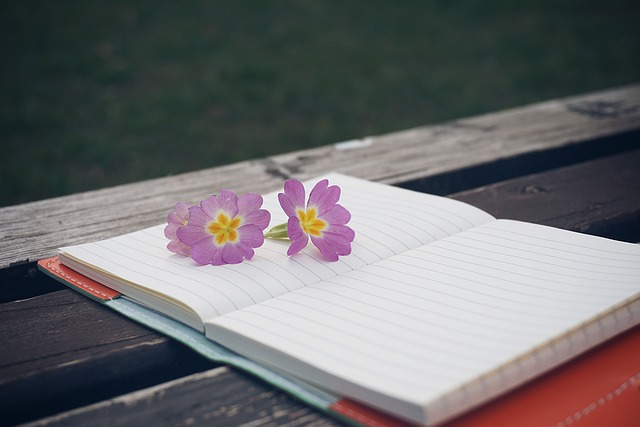 Need New Age articles for your blog?