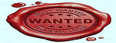 Customized  Service For Specific Client's Demand