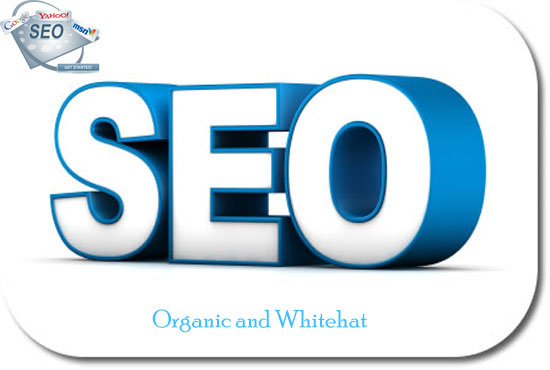 I wil skyrocket your rank in in Google, 50 PR10 Niche Backlinks, 40days SEO