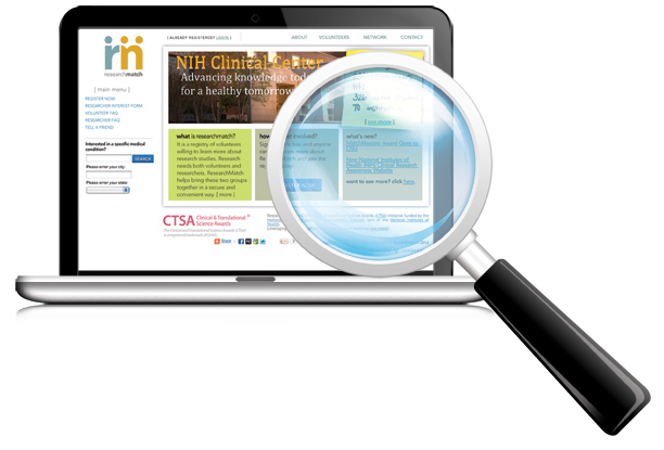 Online Website Researcher