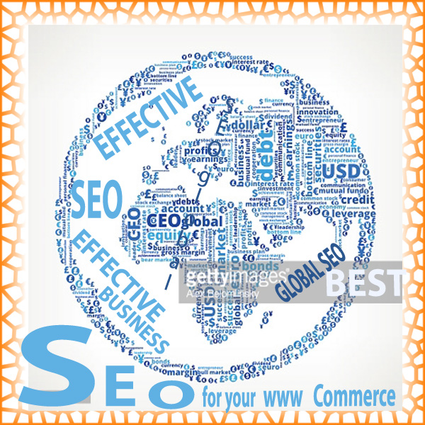 Dynamic & Organic  SEO Service to Rocket your Site