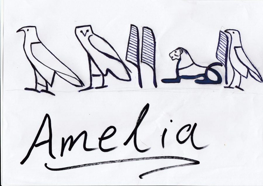 write your name with Hieroglyphic calligraphy 