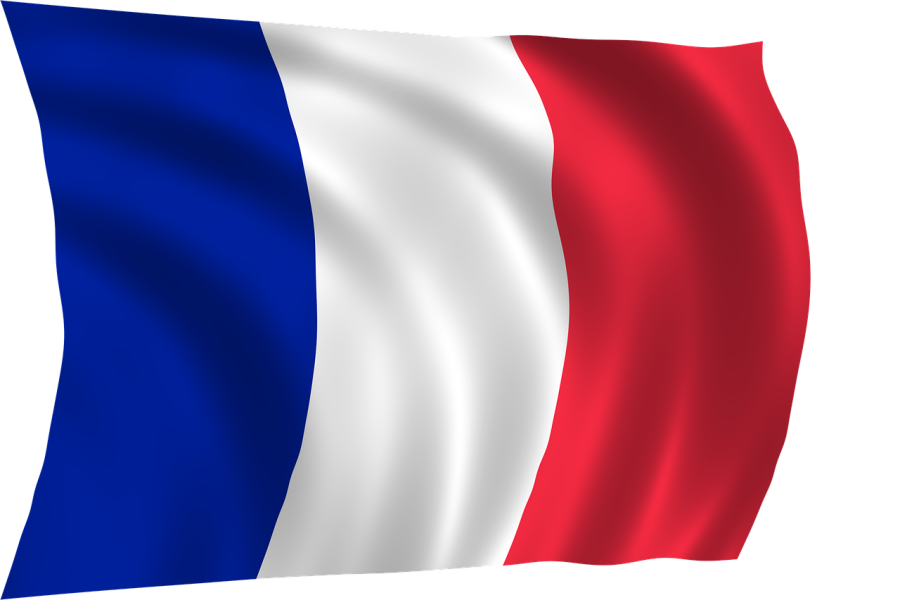 Will Professionally Translate French to English or the opposite