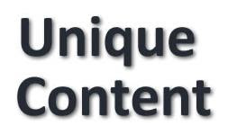 Well-researched and 100% unique content