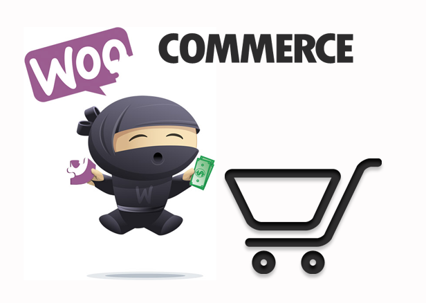 Add 50 products on your woocommerce store