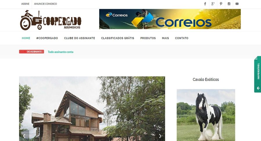 Professional responsive website