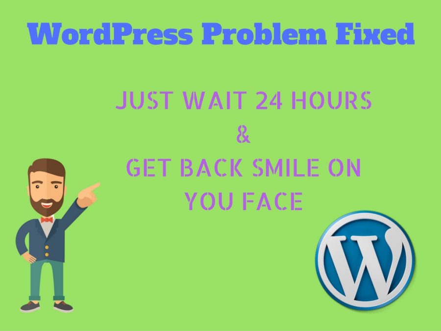 fixed wordpress problem within 24 hours