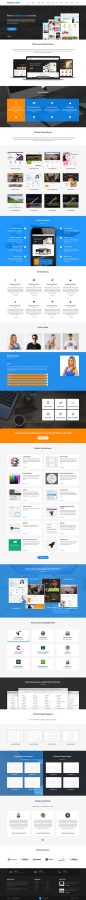 Professional Wordpress Website Design