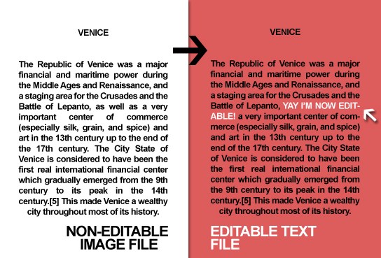 Convert 3000 words from an Image file into an Editable Text File