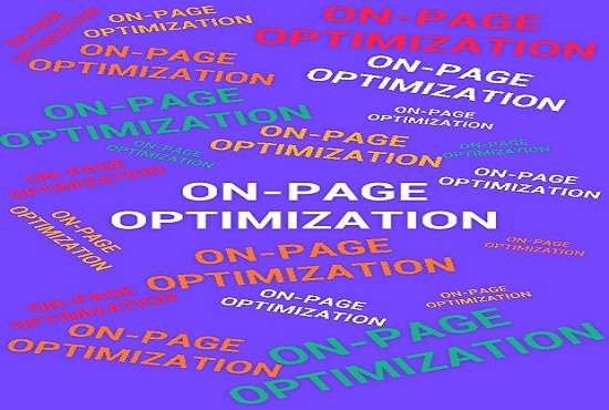 High-quality On-Page SEO Service including all features
