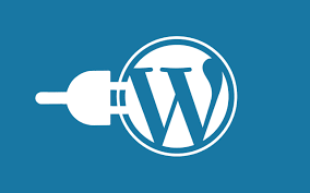 Do wordpress search engine optimization and on page SEO within 24 hours