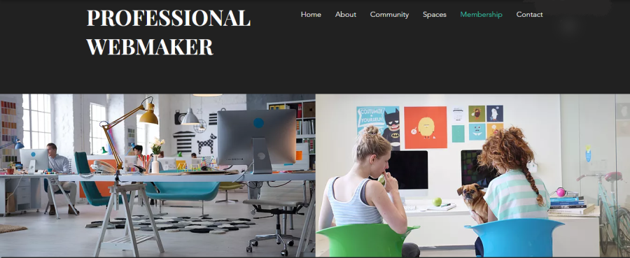 professional website maker in High quality