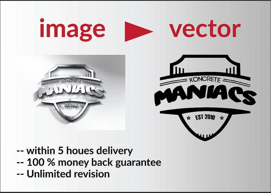 convert jpg,png,image to vector within 5 hours
