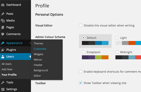 Install Wordpress In your cpanel