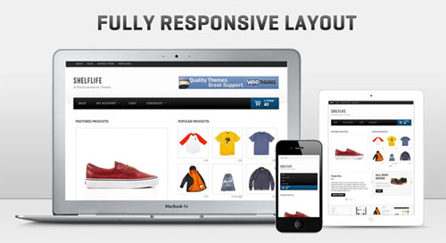 Create a Custom WordPress Website from Scratch within 24 hours