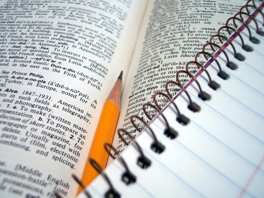 High quality, unique, 500+ word content articles