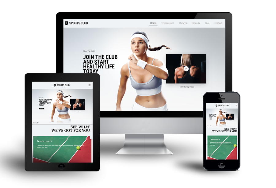 Create Website And Ecommerce Wordpress Site For You