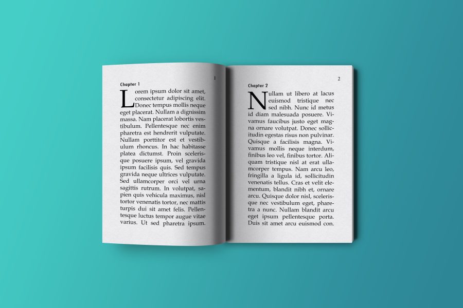 design, format, layout your EBook, Book, Magazine, Newspaper, design a Mockup