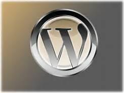 Will make a professional looking wordpress blog for you 