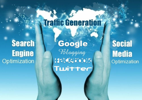 High quality target visitors 10,000 to your website directly