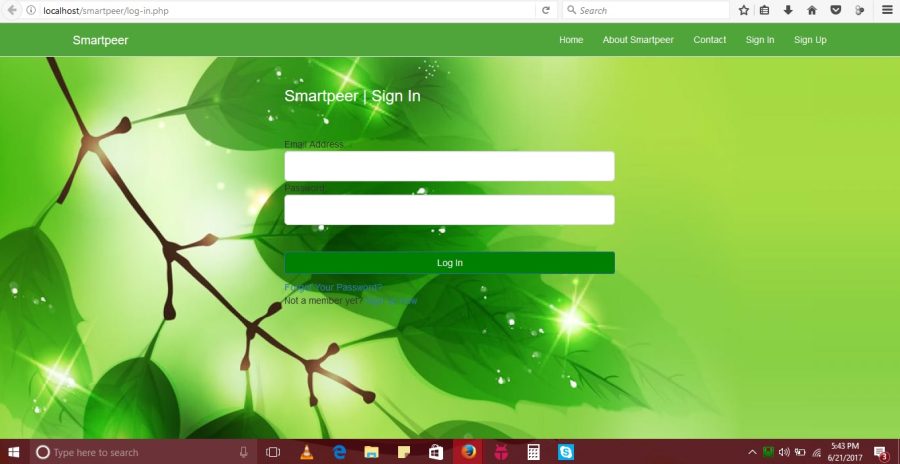 Web Designing and programming