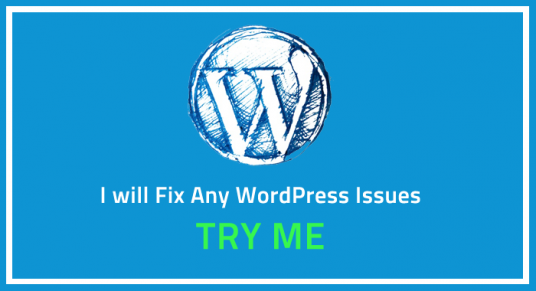 Fix Wordpress Errors, Issues, Problems And Design Theme