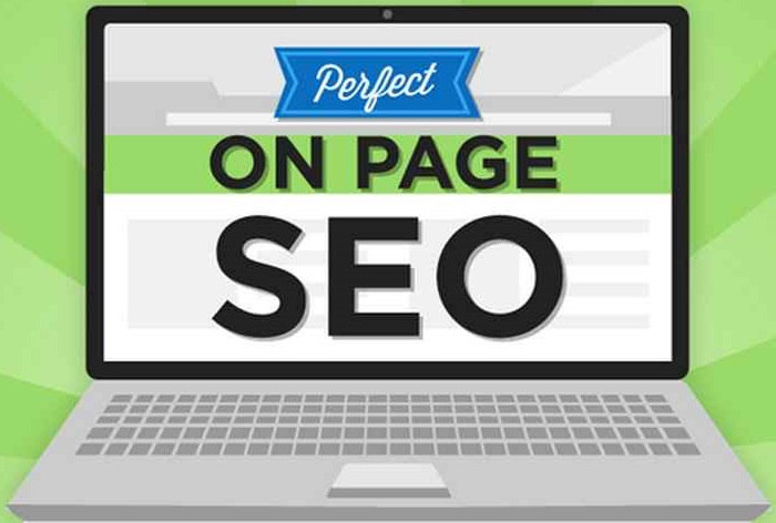 On Page SEO (Full Package)