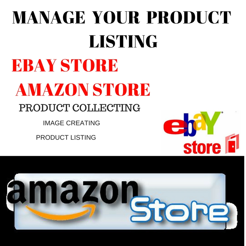 data entry on your eCommerce store ebay,amazon and shopify