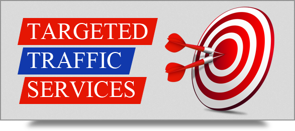 100,000 REAL ORGANIC HUMAN VISITORS TO YOUR WEBSITE FOR ONE MONTH