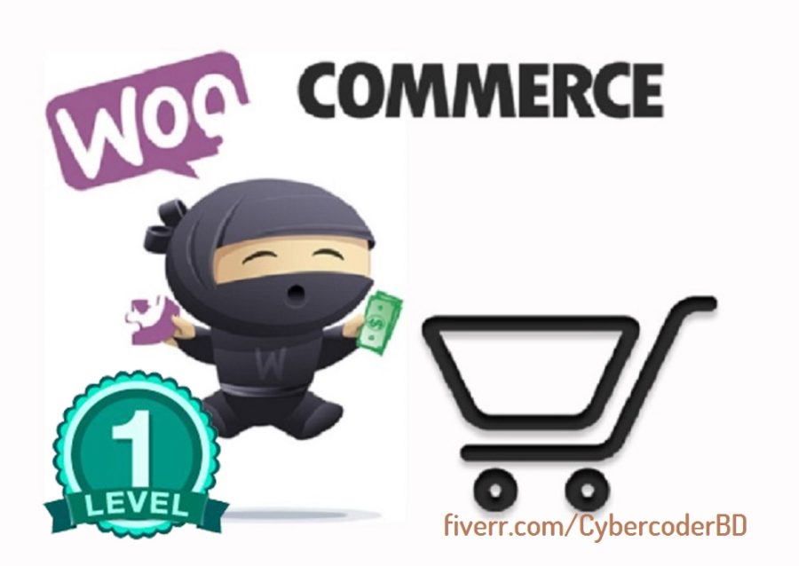 Wordpress Ecommerce Woocommerce Website Design
