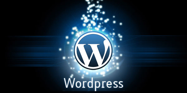 help You in Wordpress customization,themes ,plugins