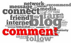 Provide 45 Niche Related Blog Comment  .