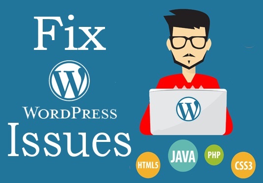 Fix WordPress Issues, Errors Or Problems
