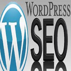 I'll do seo  your wordpress website  or blog 