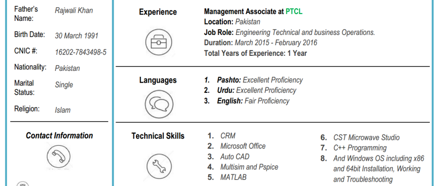 Build your Professional CV with best eye catching