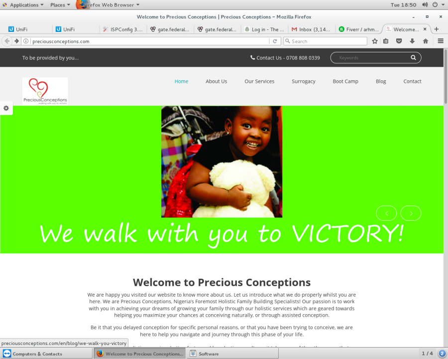 build a attractive website for your company, bussiness, eccomerce website.