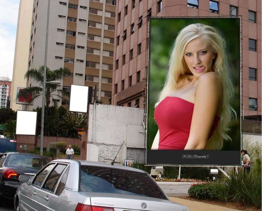 put photo or logo on 50 BILLBOARDS city posters 